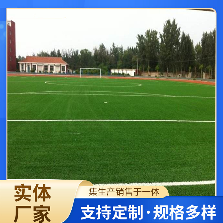 上海市塑胶跑道人造草坪 - 价格